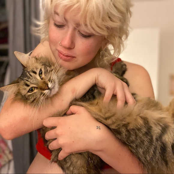 Magick Pixie Dust - Picture 4 of 6